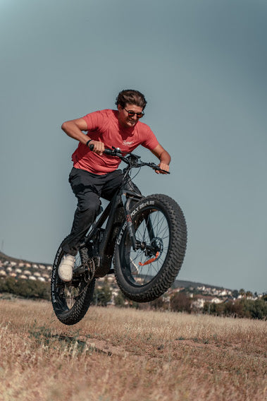 HIMIWAY COBRA E-BIKE