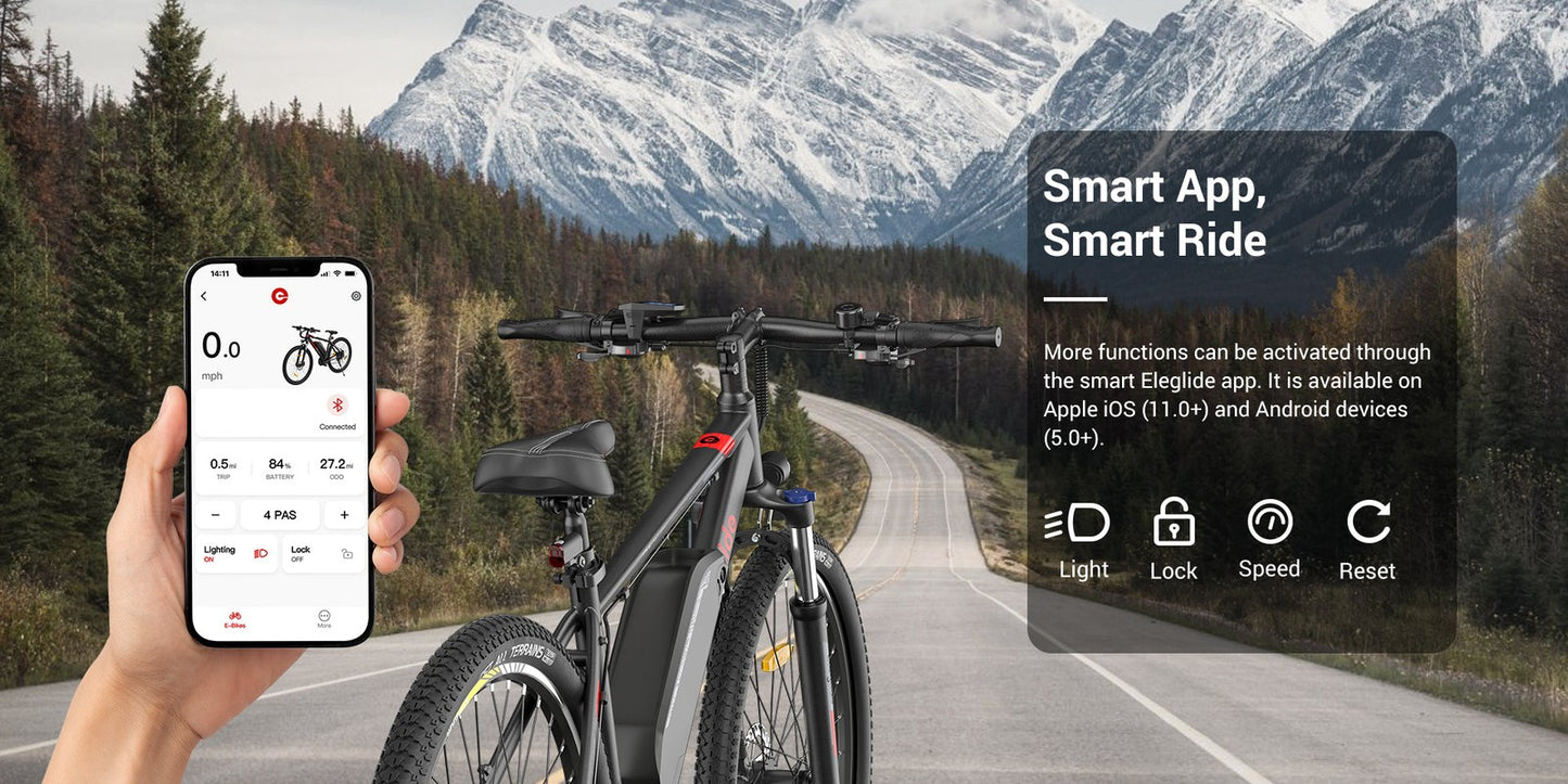 Eleglide M2 Electric Mountain Bike 29"