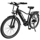 KOOLUX X3 E-Bike