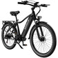 KOOLUX X3 E-Bike