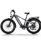 Himiway Zebra D5 E-Bike