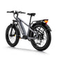 Himiway Zebra D5 E-Bike