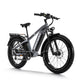 Himiway Zebra D5 E-Bike