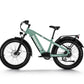 Himiway Zebra D5 E-Bike