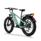 Himiway Zebra D5 E-Bike