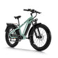 Himiway Zebra D5 E-Bike