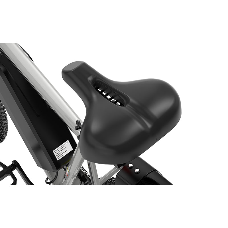 KOOLUX X15 Electric Mountain Bike
