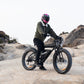 Hidoes B6 E-Bike