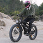 Hidoes B6 E-Bike
