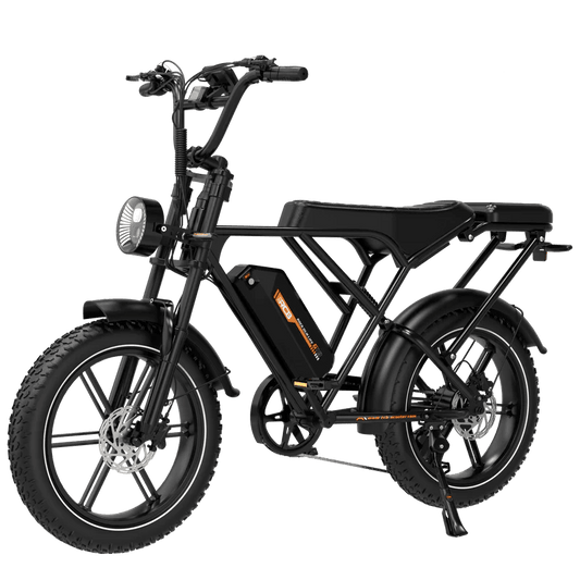 RCB G19 Electric Bike