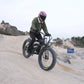Hidoes B6 E-Bike