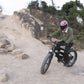 Hidoes B6 E-Bike