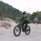 Hidoes B6 E-Bike