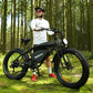 Hidoes B6 E-Bike
