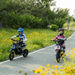 RCB R9X Pro Kids Electric Motocross Dirtbike