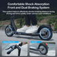 iScooter i9S Foldable E-Scooter