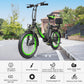 Hidoes C1 Foldable E-Bike