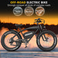 Hidoes B6 E-Bike