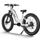 HIMIWAY ZEBRA STEP-THRU E-BIKE