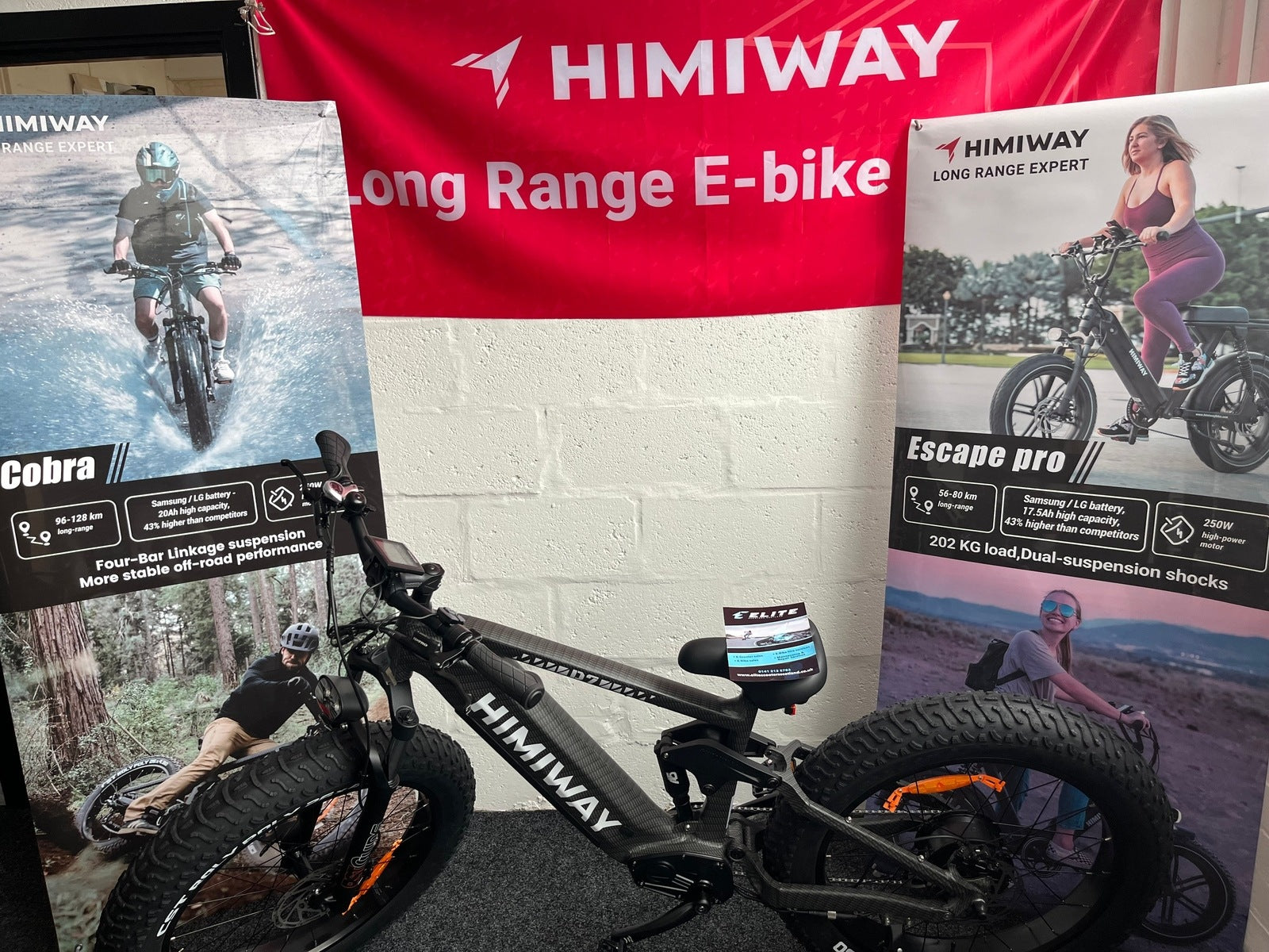 Himiway Cobra D7 E-Bike 250W