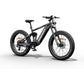 Himiway Cobra D7 E-Bike 250W