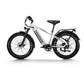 Himiway Zebra D5 E-Bike