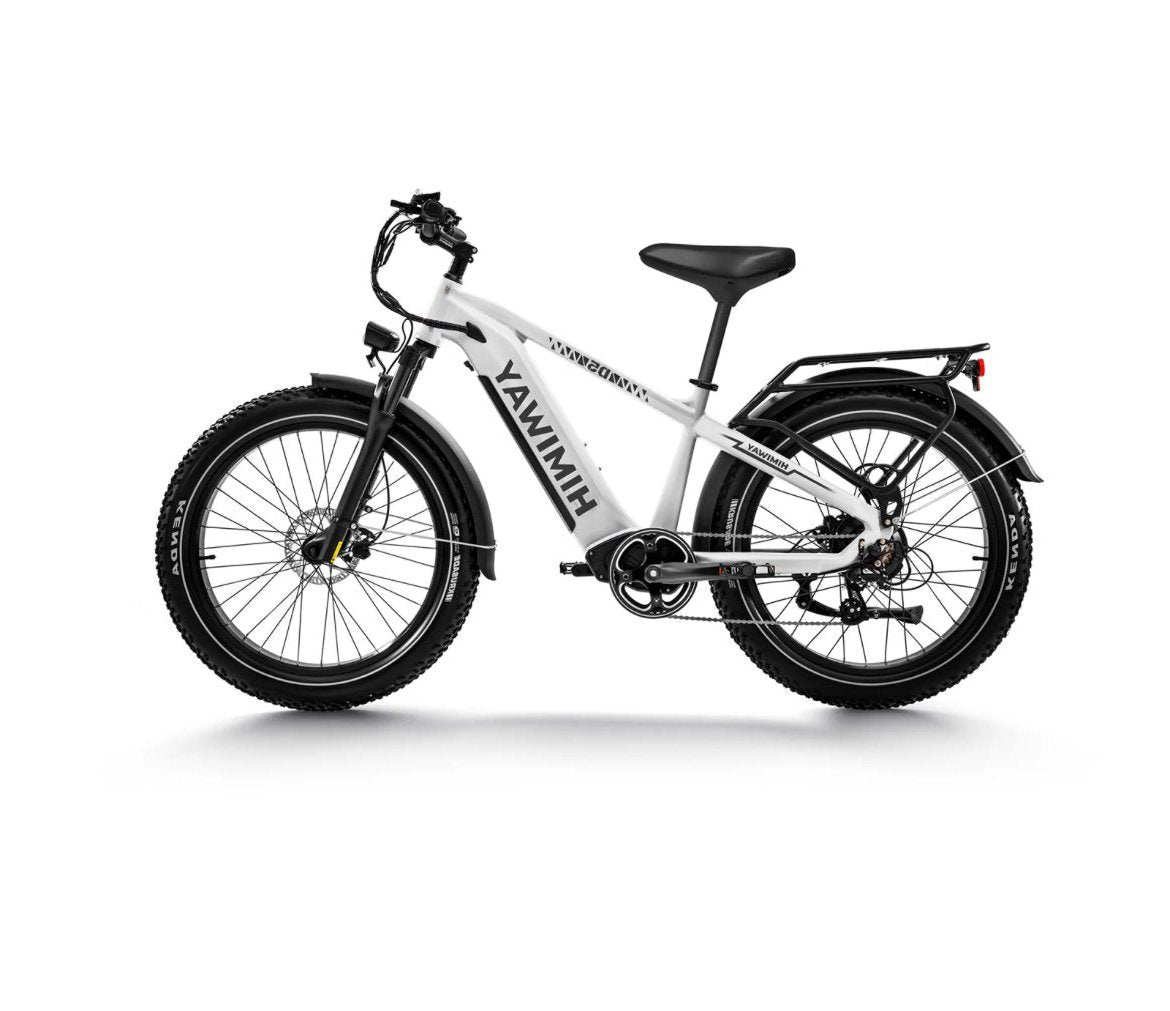 Himiway Zebra D5 E-Bike