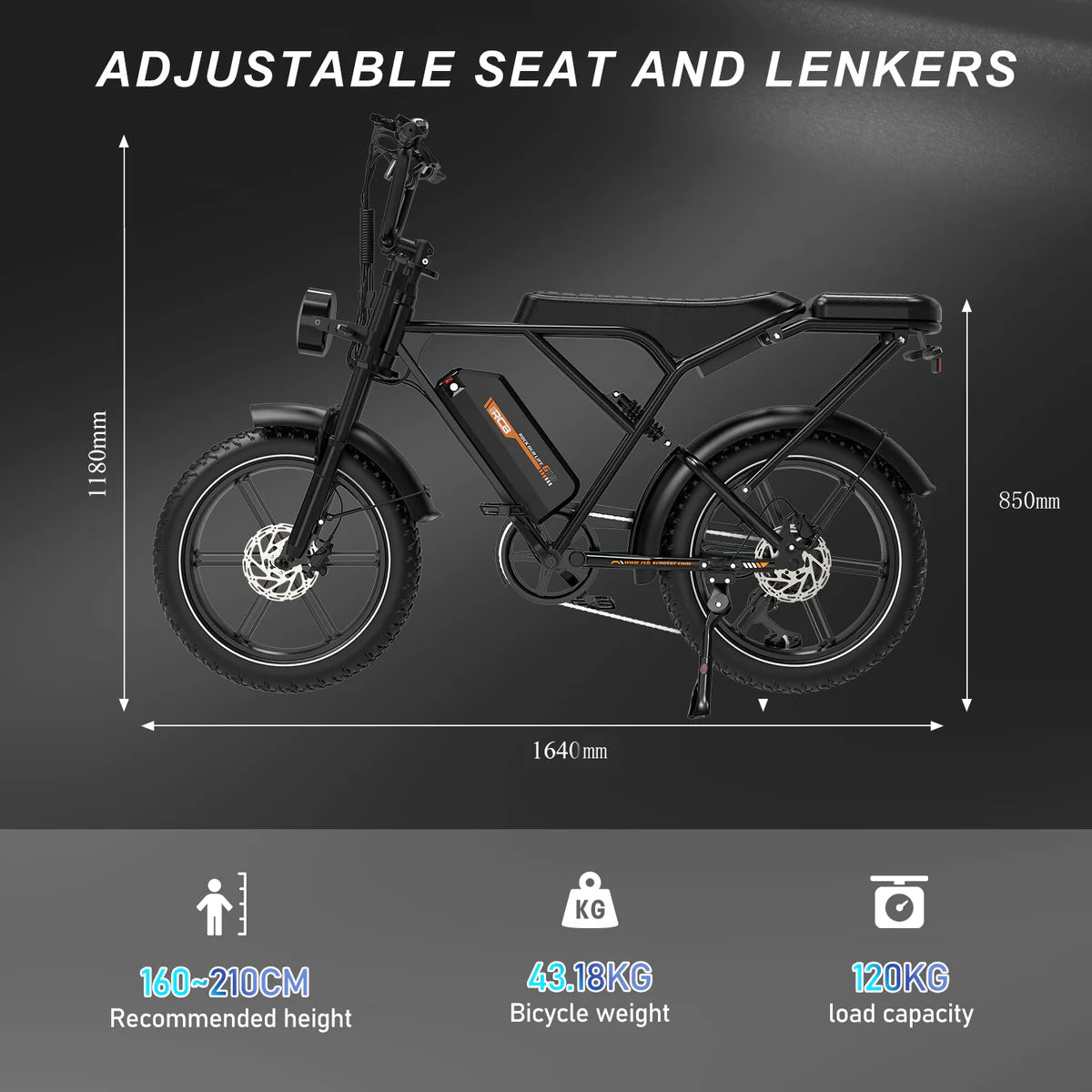 RCB G19 Electric Bike