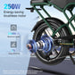 RCB G19 Electric Bike