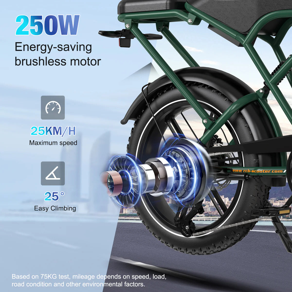RCB G19 Electric Bike