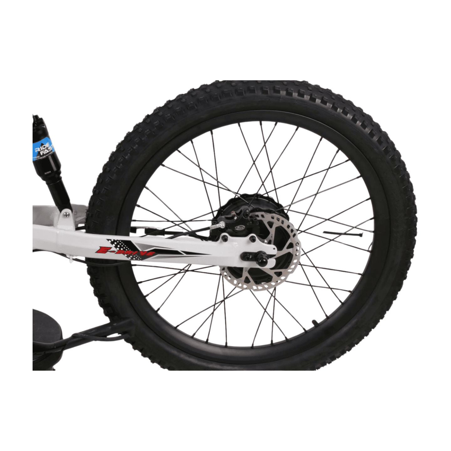 Fish Extreme FXB24 Pro 24" Kids Electric Balance Bike