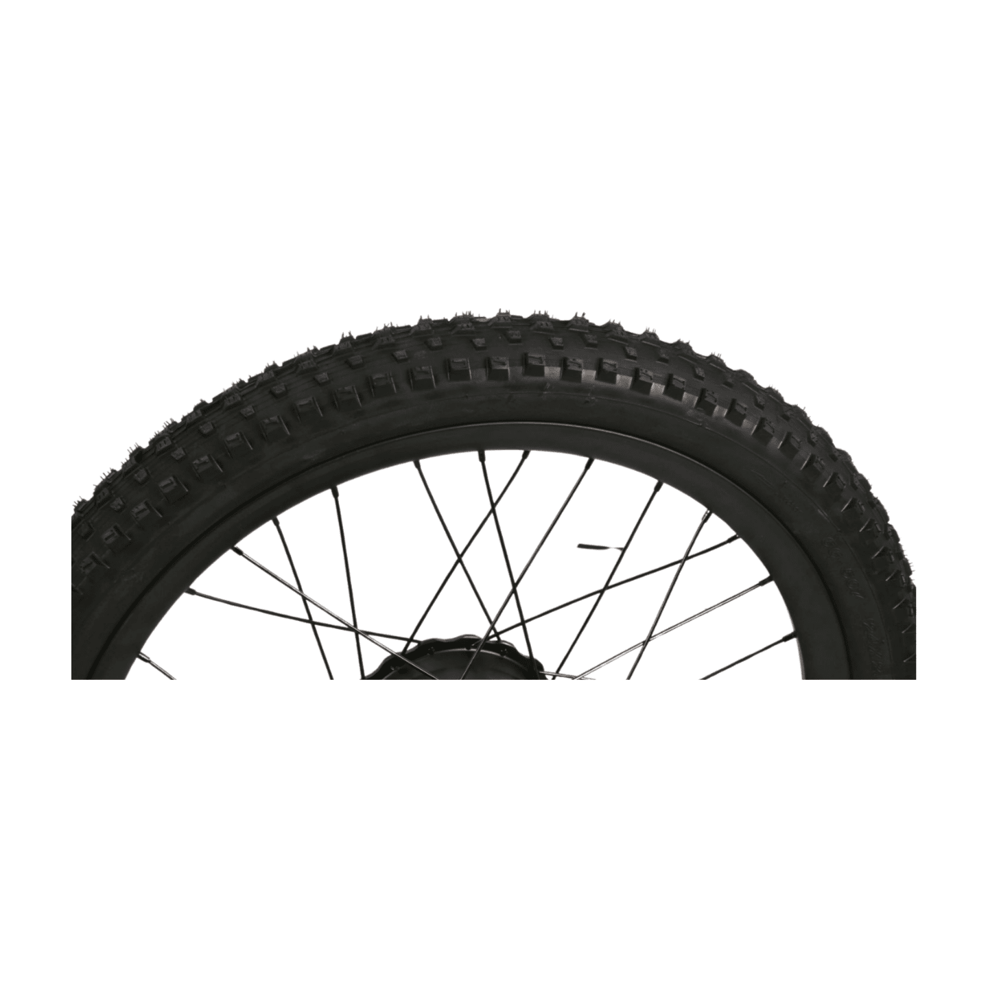 Fish Extreme FXB24 Pro 24" Kids Electric Balance Bike