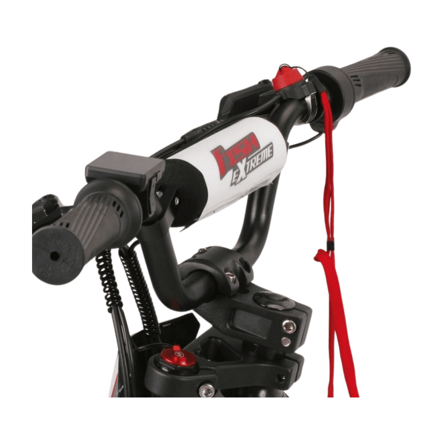 Fish Extreme FXB24 Pro 24" Kids Electric Balance Bike