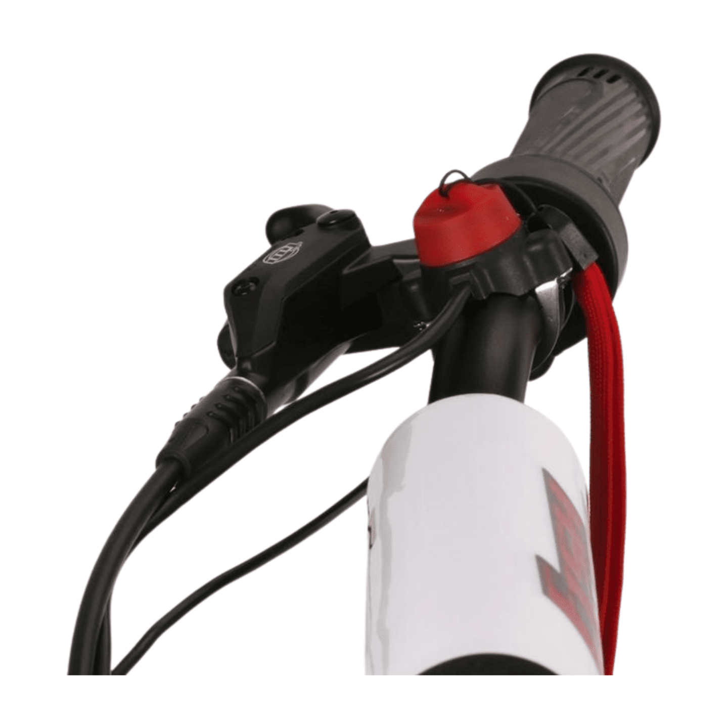 Fish Extreme FXB24 Pro 24" Kids Electric Balance Bike