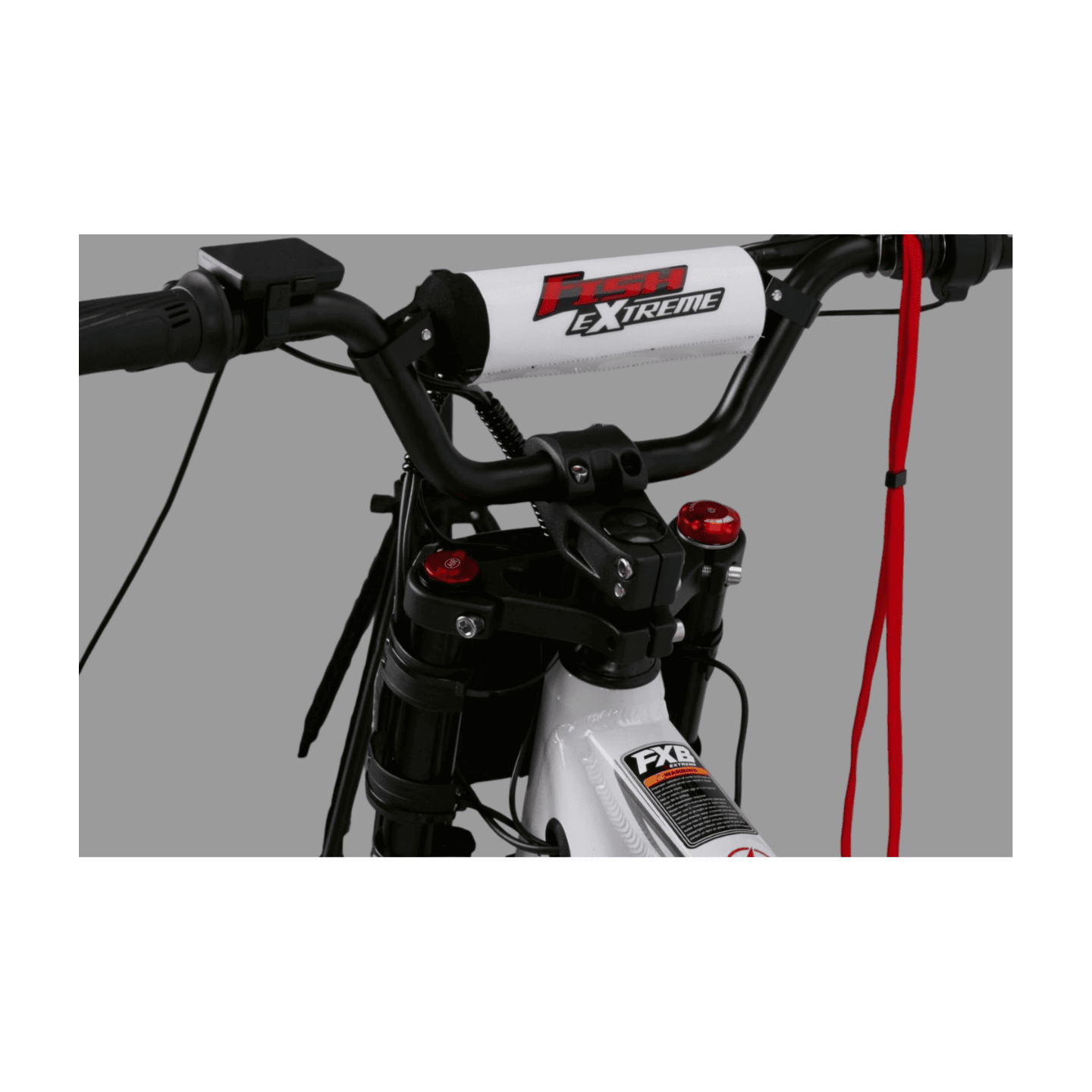 Fish Extreme FXB24 Pro 24" Kids Electric Balance Bike