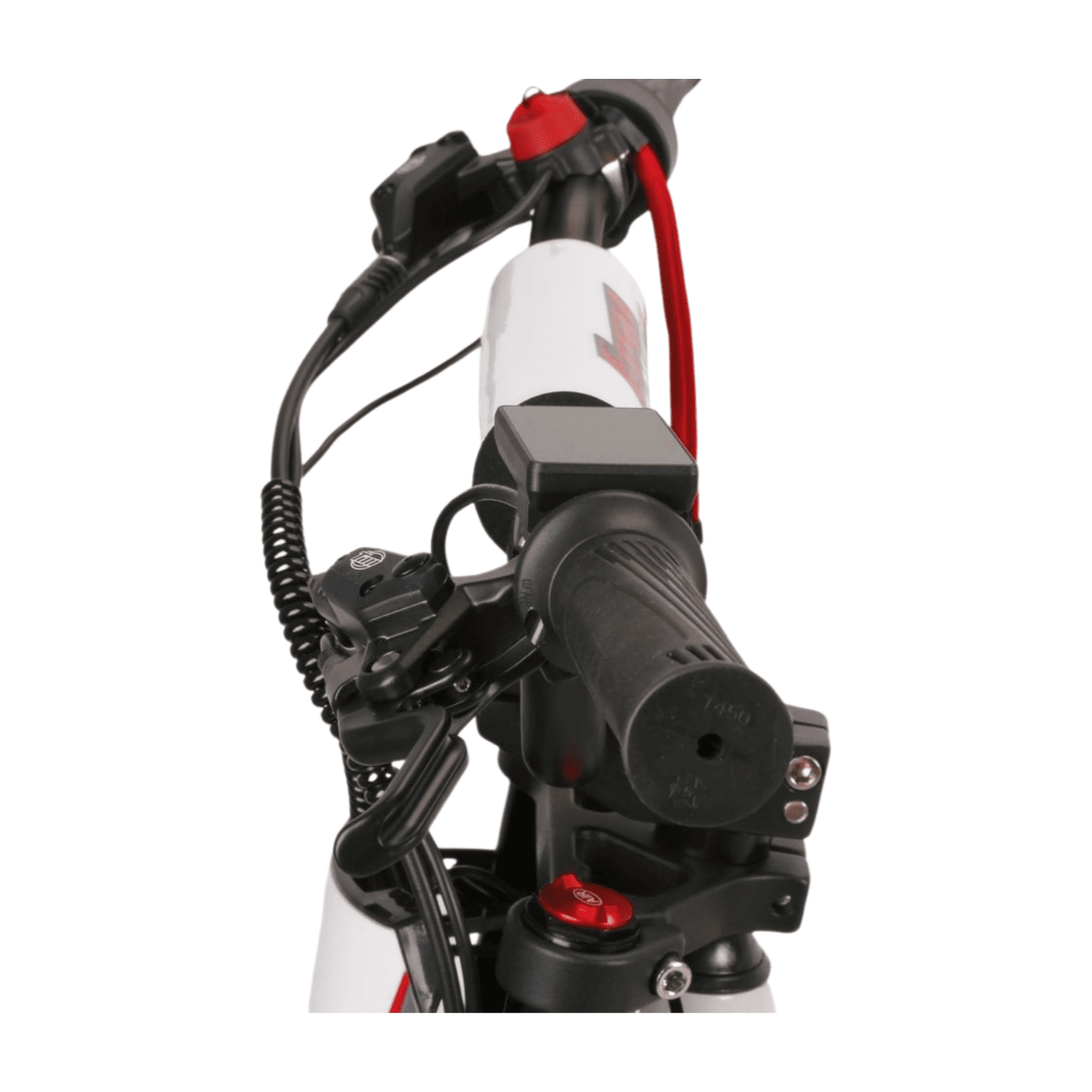 Fish Extreme FXB24 Pro 24" Kids Electric Balance Bike