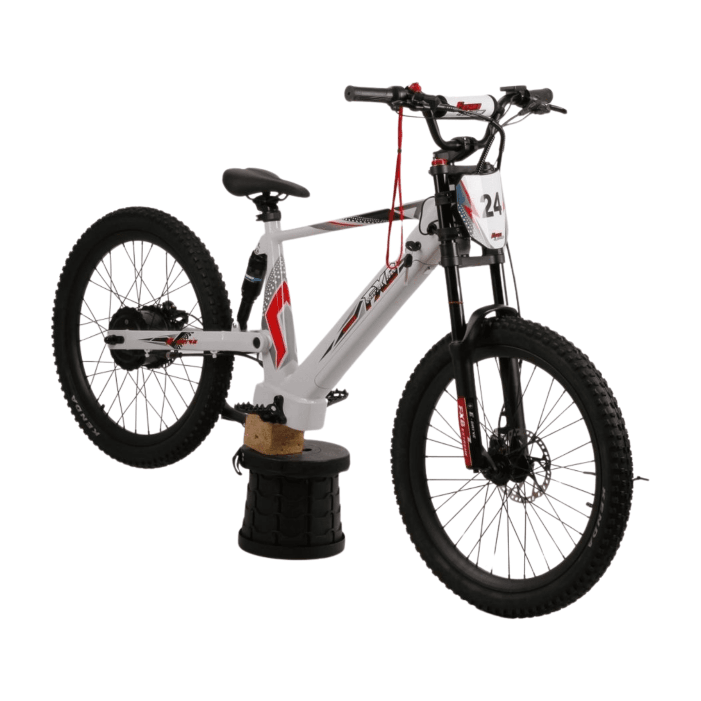Fish Extreme FXB24 Pro 24" Kids Electric Balance Bike
