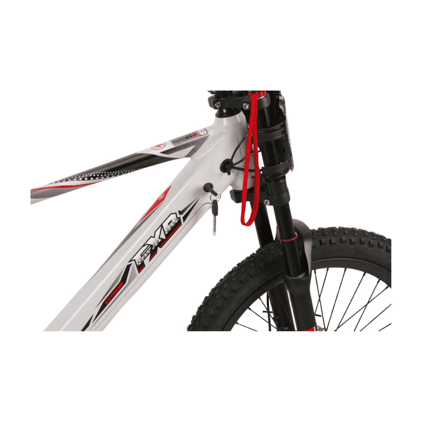 Fish Extreme FXB24 Pro 24" Kids Electric Balance Bike