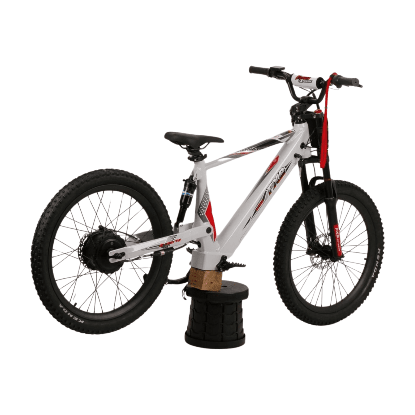 Fish Extreme FXB24 Pro 24" Kids Electric Balance Bike