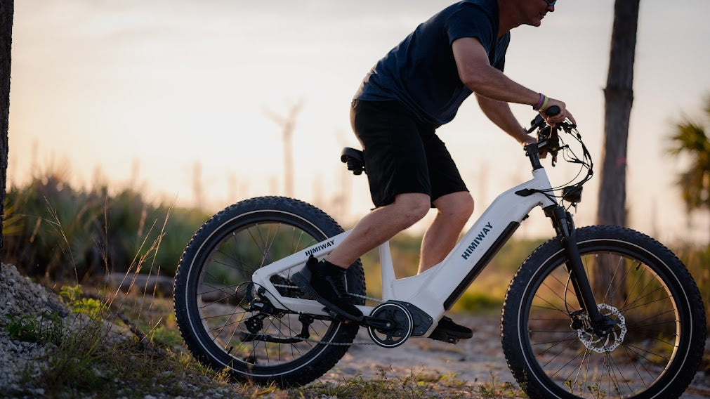 HIMIWAY ZEBRA STEP-THRU E-BIKE