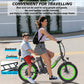 Hidoes C1 Foldable E-Bike