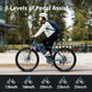 Eleglide M1 Electric Mountain Bike