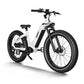 HIMIWAY ZEBRA STEP-THRU E-BIKE